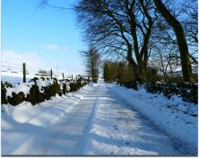 the lane.jpg